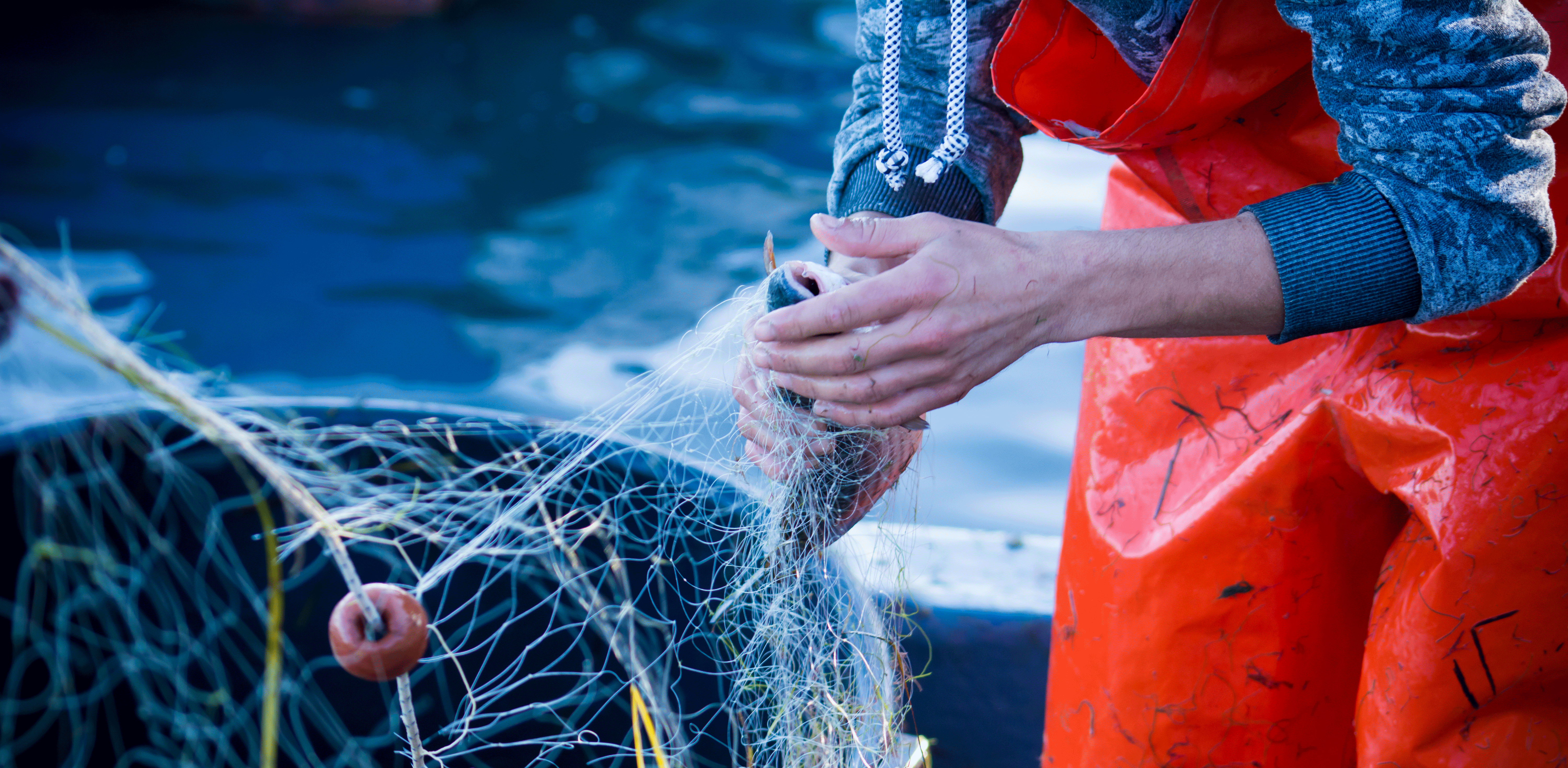 Commercial Fisheries